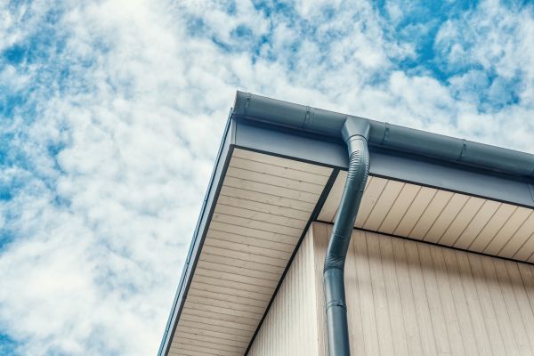 Gutter Fascia Repair in Muskegon