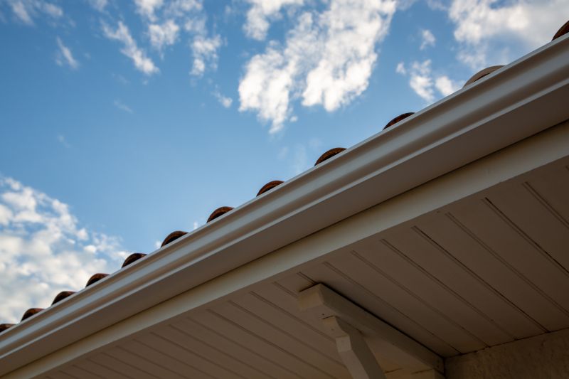 Gutter Extension Installation